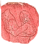 Hoogl2.gif (7274 bytes)