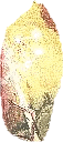 Hoolg3.gif (5837 bytes)