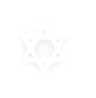 Ster.jpg (915 bytes)
