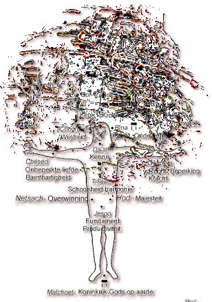 adamkabb.jpg (53260 Byte)