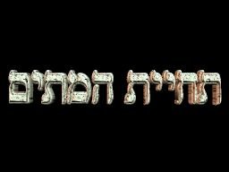 metiemhheb.jpg.jpg (6491 bytes)